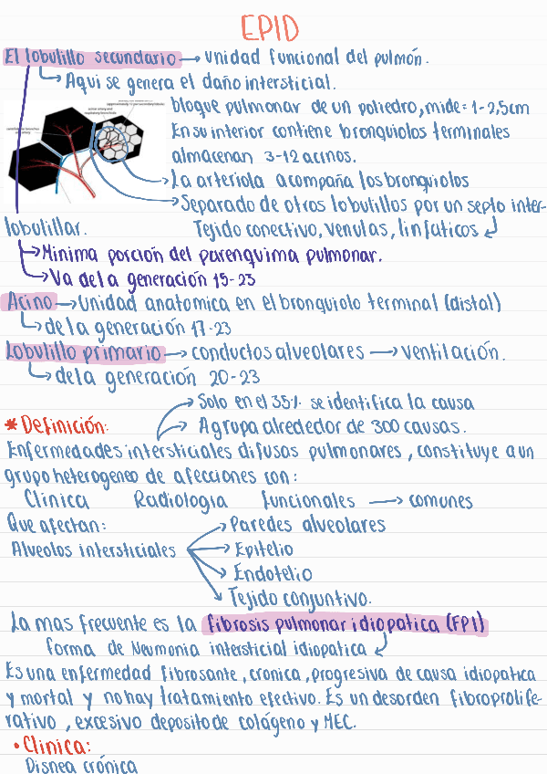 Miniatura del documento EPID240505013309.pdf