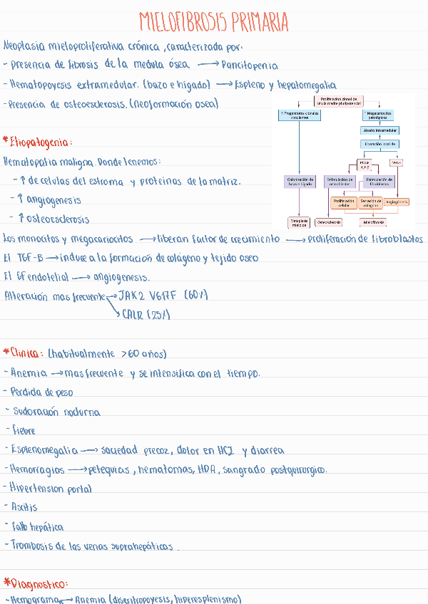 Miniatura del documento Mielofibrosis-primaria.pdf