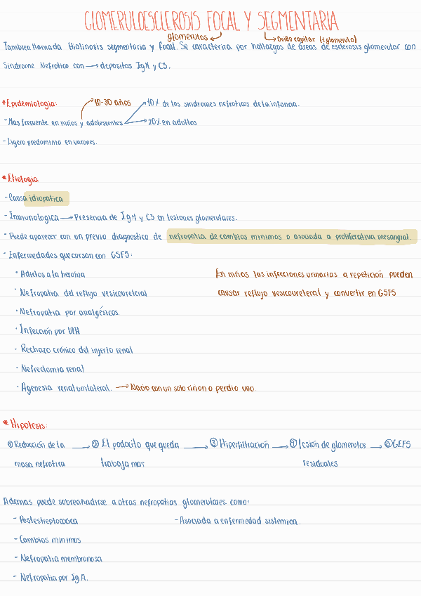 Miniatura del documento Glomerulonefritis-focal-y-segmentaria240518110752.pdf