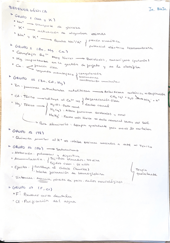 Miniatura del documento Apuntes-de-todo-Inorganica.pdf