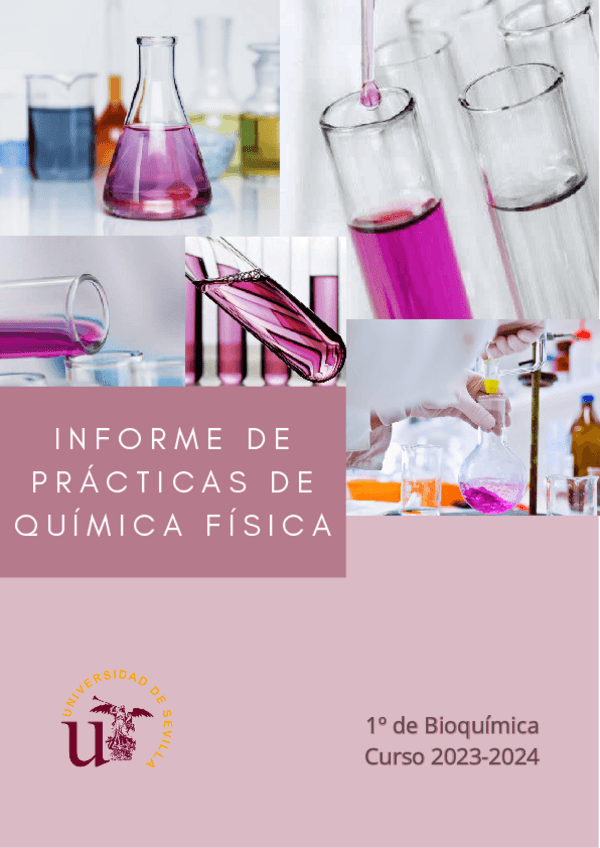 Miniatura del documento Informe-Quifi.pdf