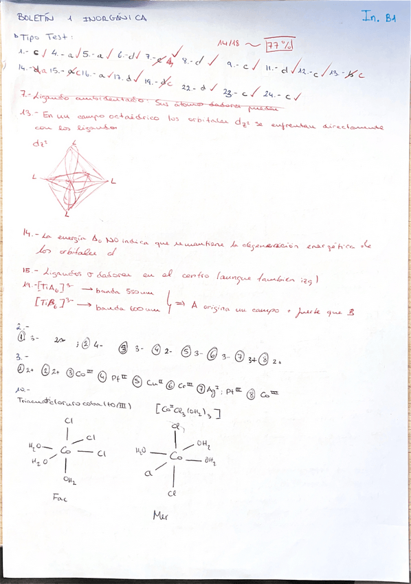 Miniatura del documento Boletines-de-Inorganica-todos.pdf