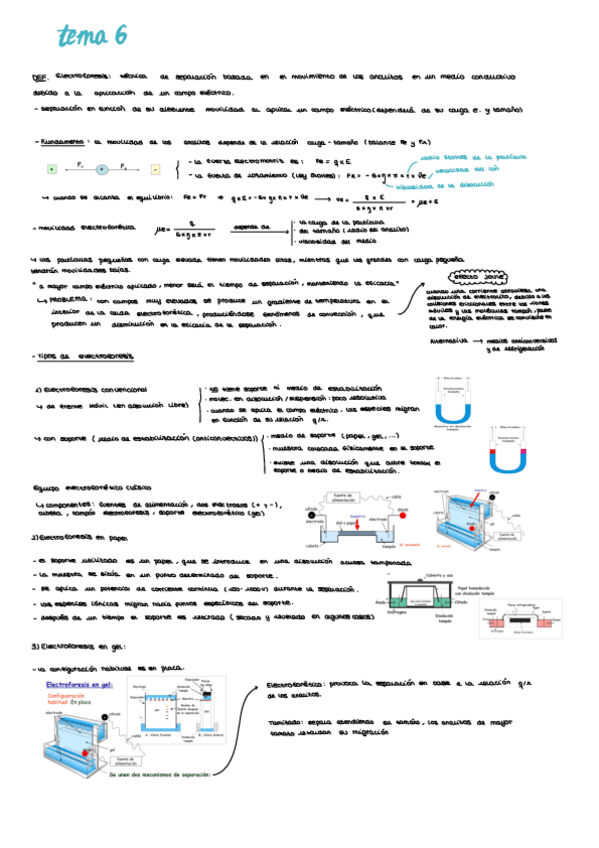 Miniatura del documento apuntes-t6.pdf