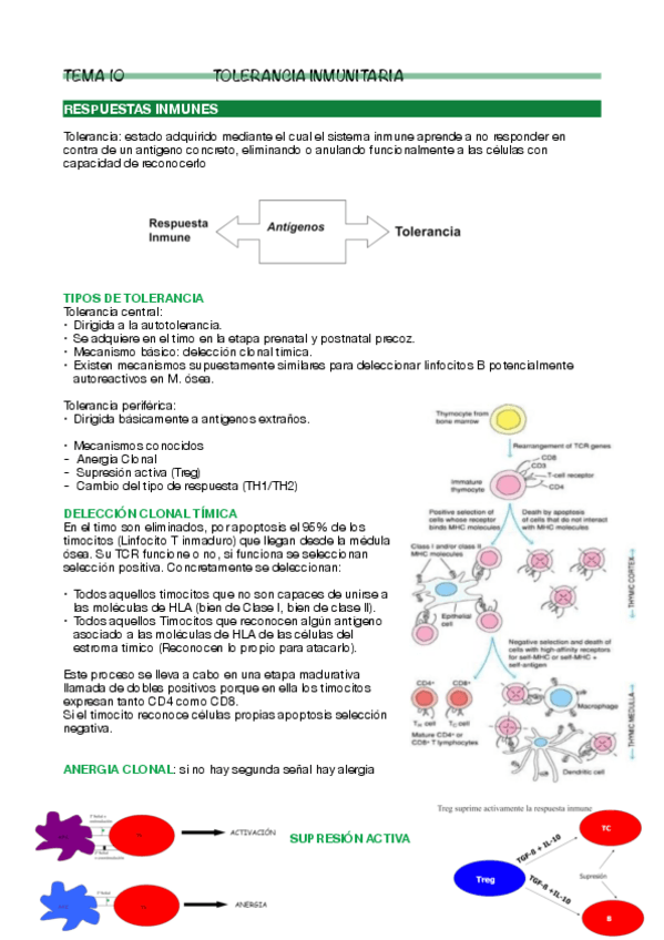 Miniatura del documento Tema-10 Inmuno.pdf