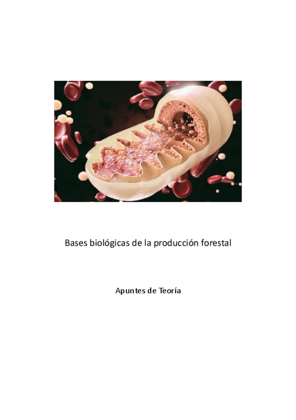 Miniatura del documento BBPF-Apuntes-T4.pdf