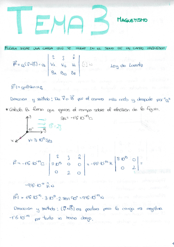 Miniatura del documento Electromagnetismo-Tema-3.-Magnetismo.pdf