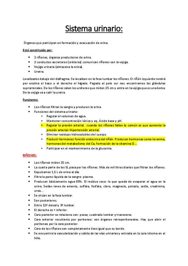 Miniatura del documento Sistema-urinario.pdf