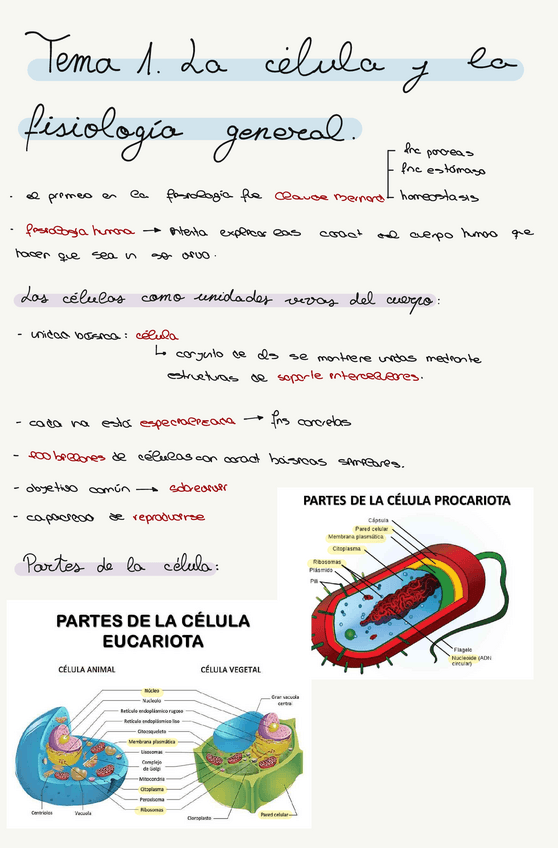 Miniatura del documento 1Fisiologiacelular.pdf