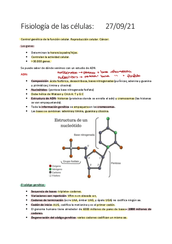 Miniatura del documento 3-Fisiologia-de-las-celulas.pdf