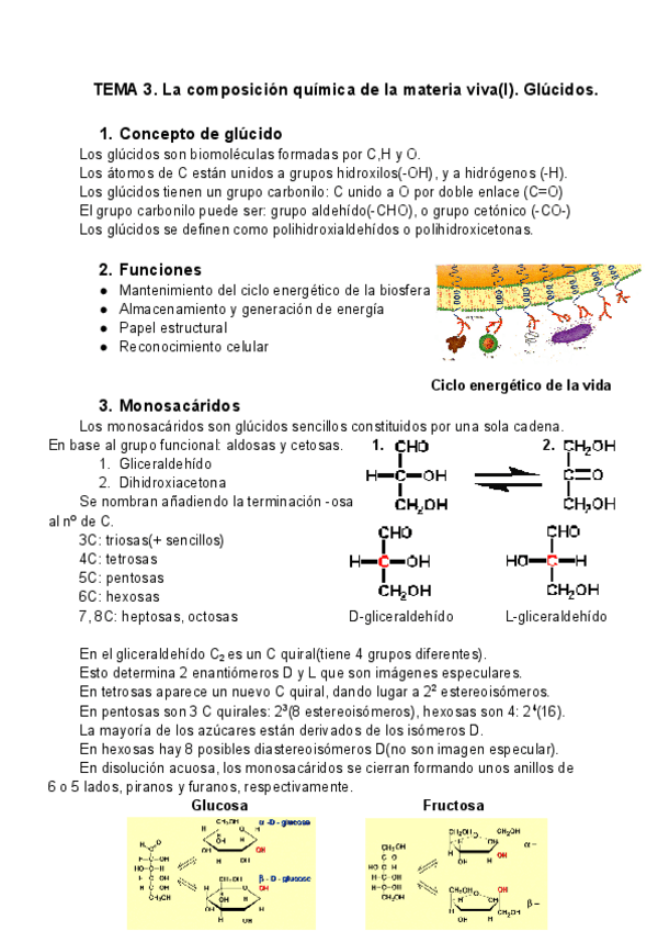 Miniatura del documento Biologia-Tema-3.pdf
