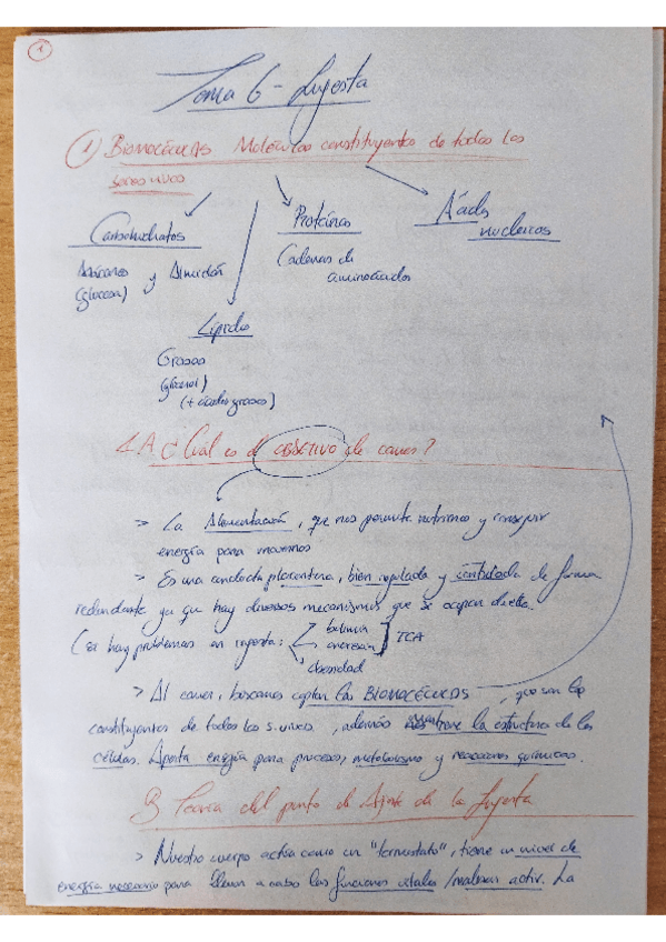 Miniatura del documento psicobioII.-INGESTA.T-6.pdf