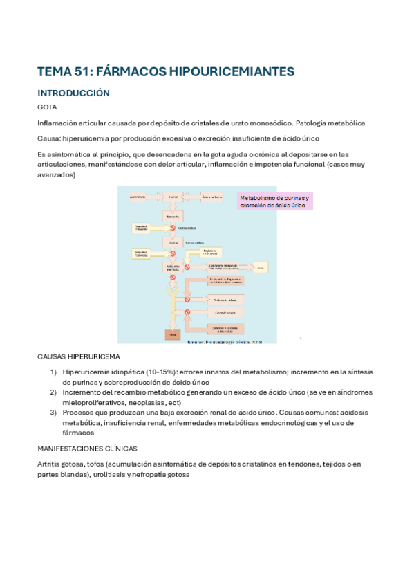 Miniatura del documento Tema-51.pdf