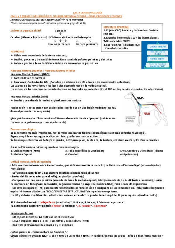 Miniatura del documento TODO-NEUROLOGIA-apuntes-CM-y-SEM.pdf