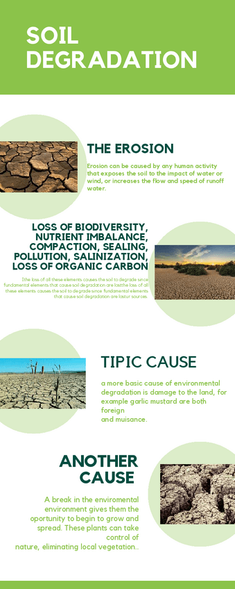 Miniatura del documento infografia-causas-de-la-degradacion-del-suelo-en-ingles-Soil-degradation.pdf