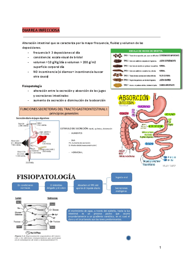 Miniatura del documento 3.-PATOLOGIA-DEL-INTESTINO-I.pdf