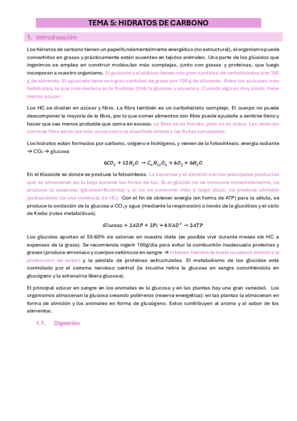 Miniatura del documento T5.-Hidratos-de-Carbono.pdf