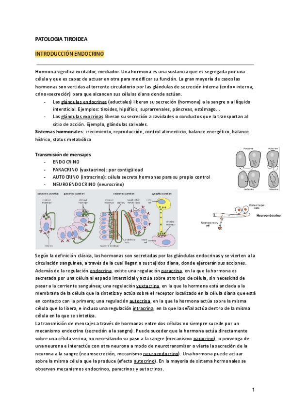 Miniatura del documento 1.-PATOLOGIA-TIROIDEA.pdf