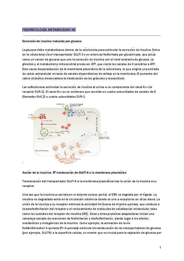 Miniatura del documento 5.-DIABETES.pdf