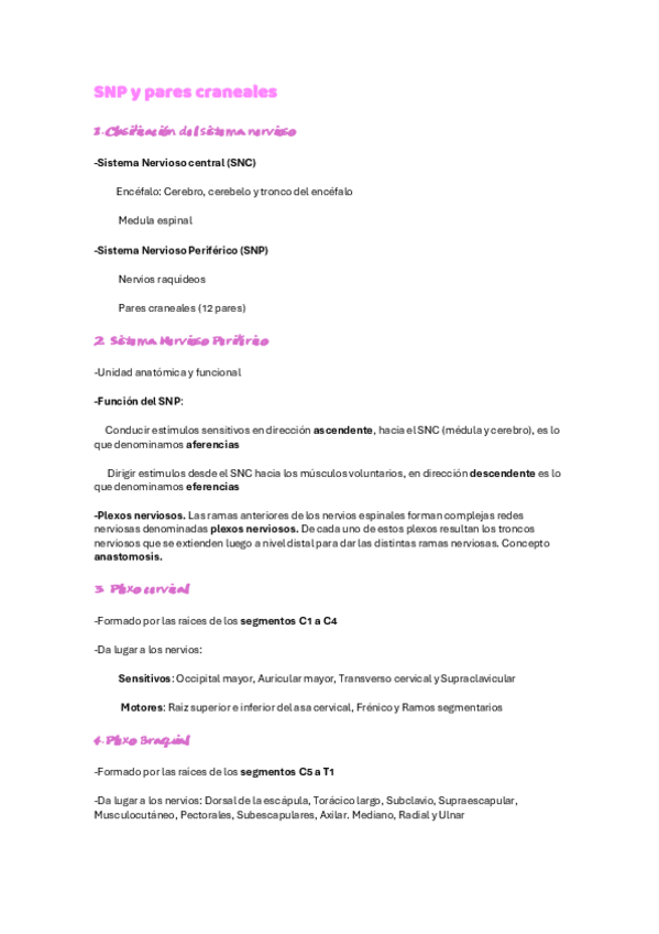 Miniatura del documento Practica-edgar.pdf