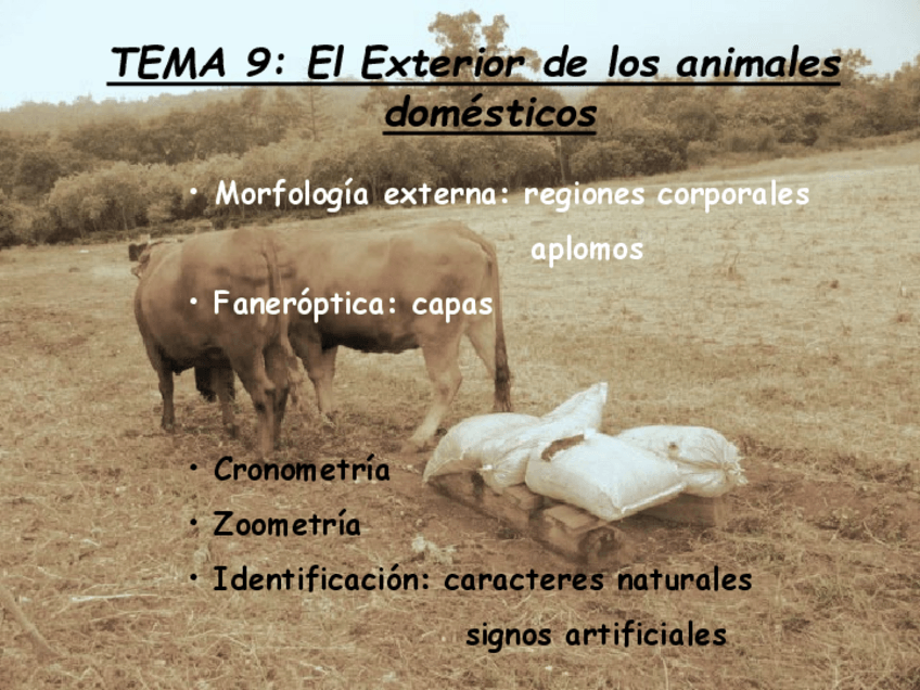 Miniatura del documento El-exterior-de-los-animaes-domesticos.pdf