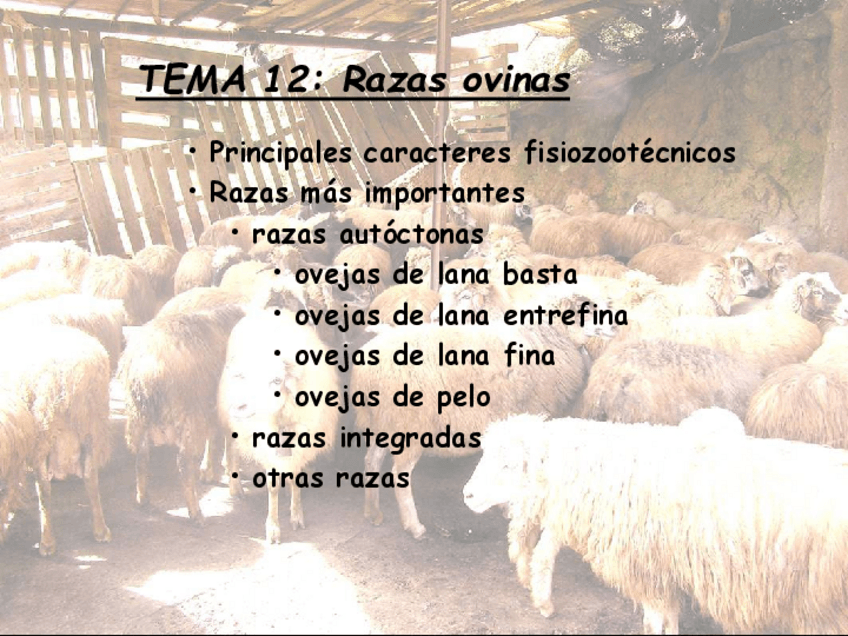 Miniatura del documento Razas-ovinas.pdf