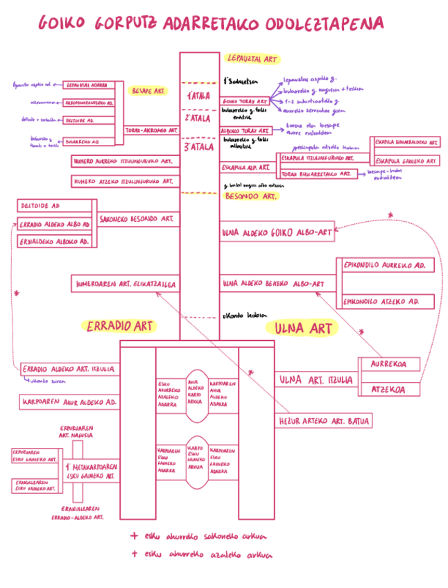Miniatura del documento goiko-gorputz-adarretako-odoleztapena.pdf