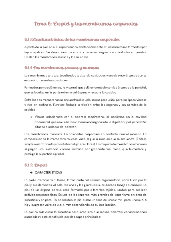Miniatura del documento Apuntes-Tema-6-La-pielMaria-M.pdf