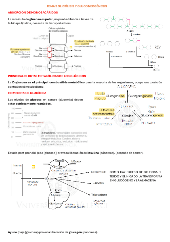 Miniatura del documento APUNTES-T9.pdf