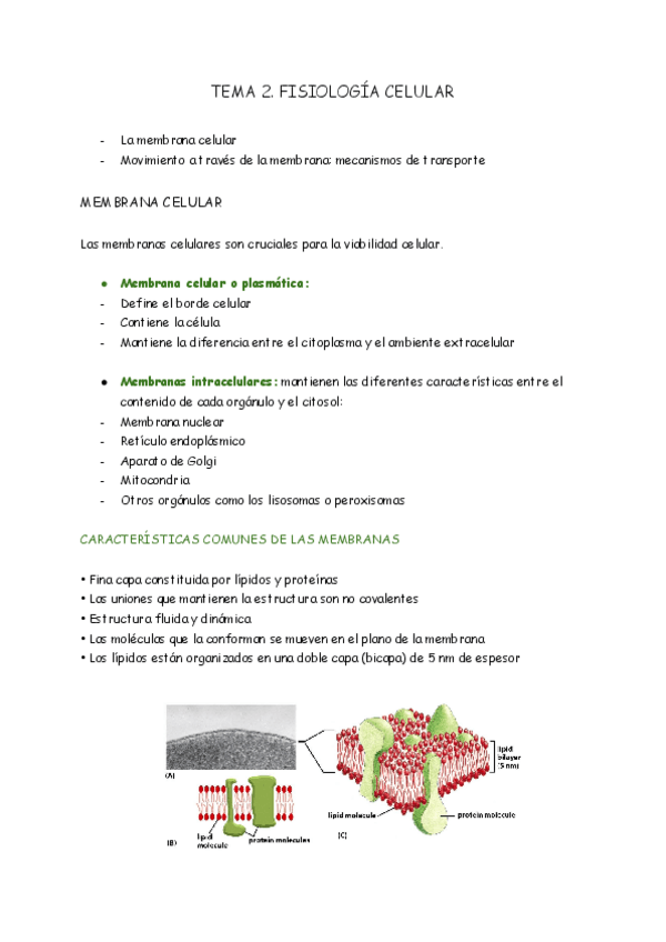 Miniatura del documento TEMA-2-FISIOLOGIA.pdf