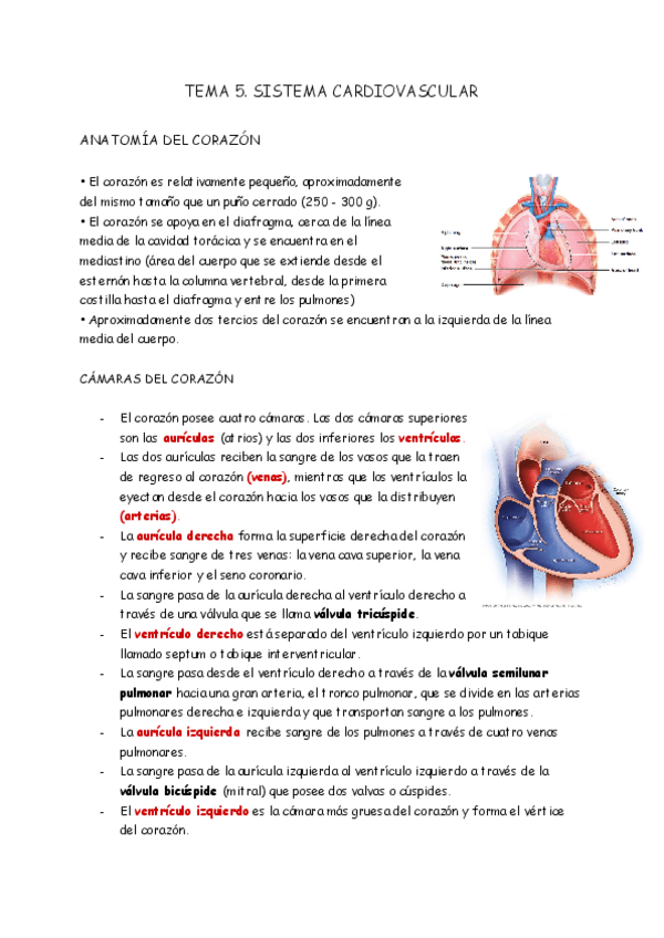 Miniatura del documento TEMA-5-A-Y-B.pdf