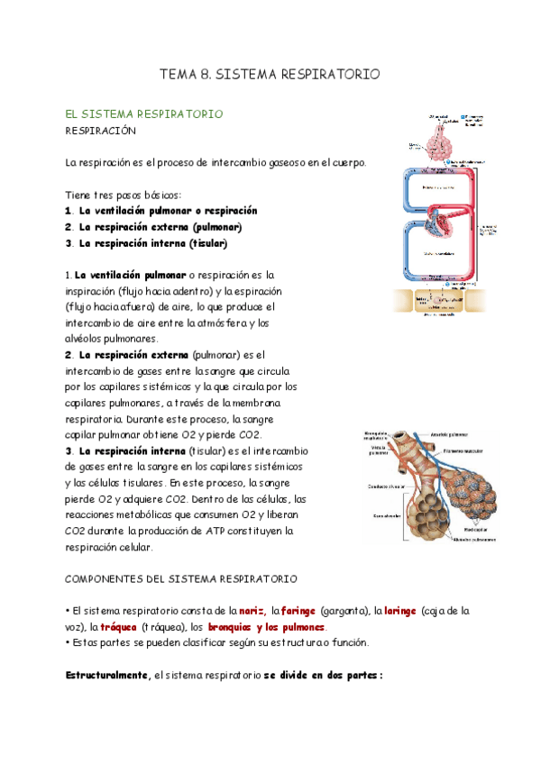 Miniatura del documento TEMA-8-FISIO.pdf