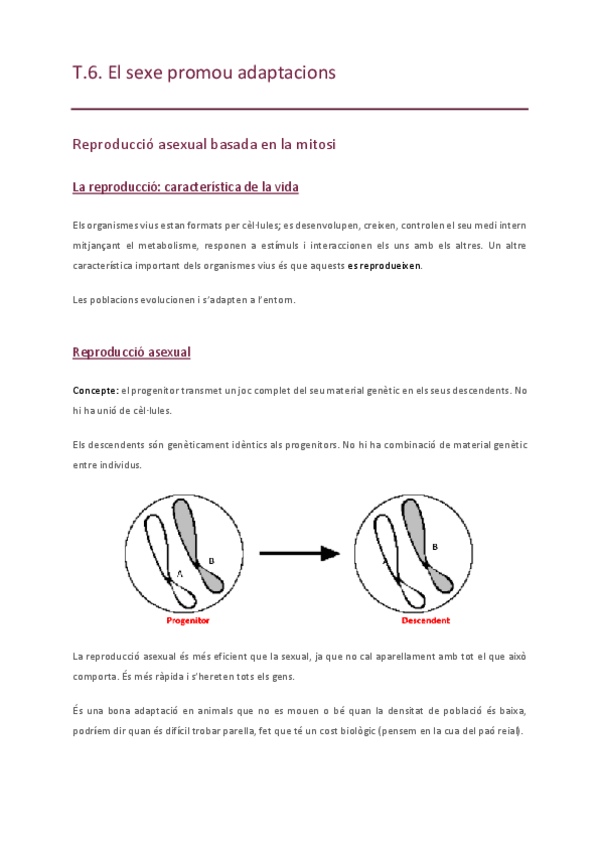 Miniatura del documento Apunts-final-biologia.pdf