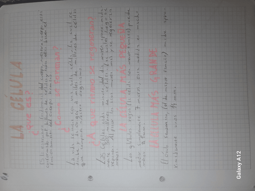 Miniatura del documento La-celula.jpg