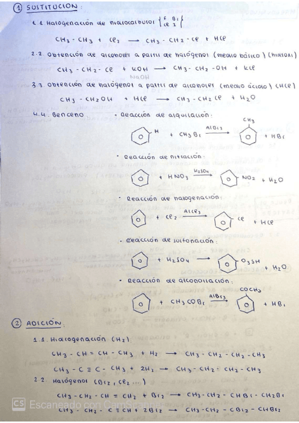 Miniatura del documento REACCIONES-QUIMICA-ORGANICA.pdf