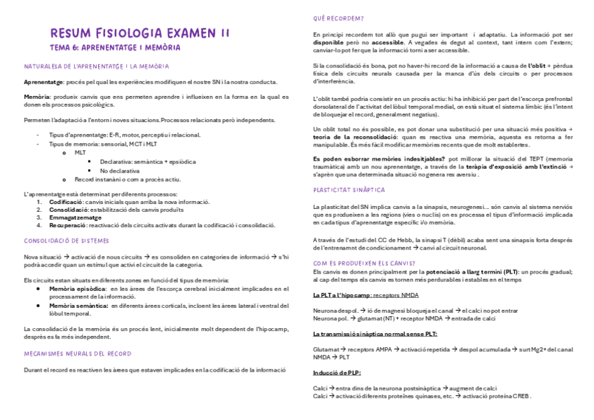 Miniatura del documento RESUM-T6.pdf