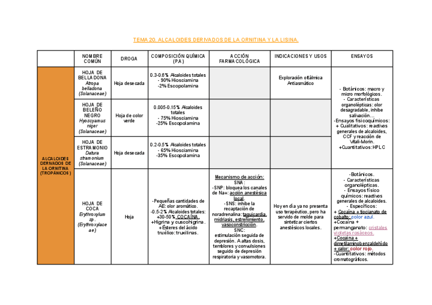 Miniatura del documento TABLA-TEMA-20.pdf