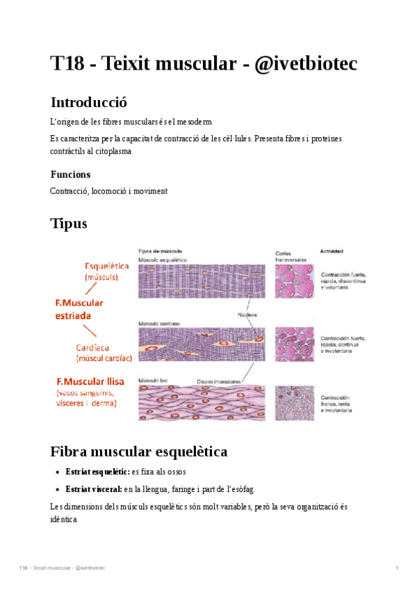 Miniatura del documento T18-Teixit-muscular.pdf
