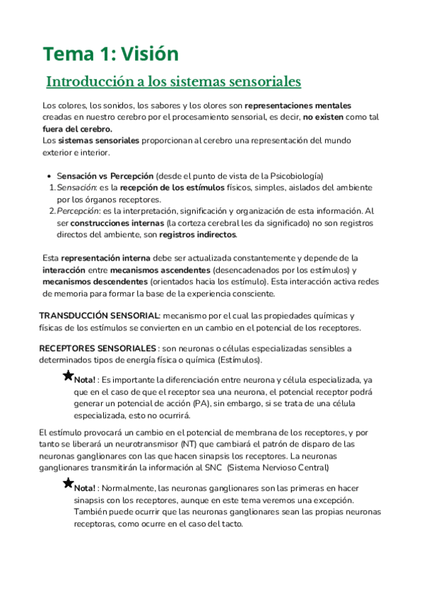 Miniatura del documento Vision-PBS.pdf