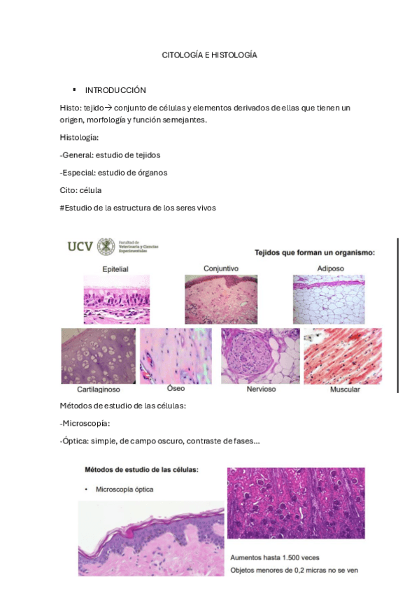 Miniatura del documento CITOLOGIA-E-HISTOLOGIA completo.pdf