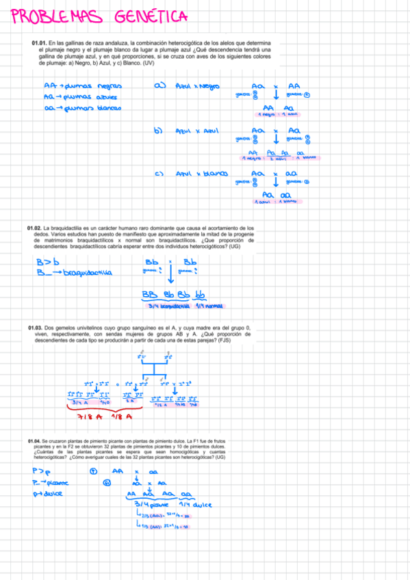 Miniatura del documento Cuaderno-Problemas-Genetica-23-24.pdf