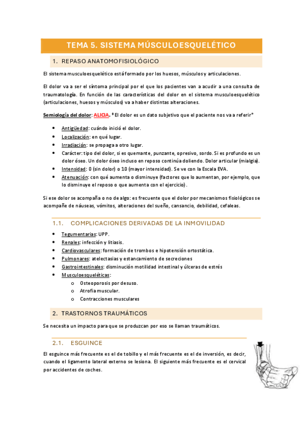Miniatura del documento Tema-5.-Sistema-musculoesqueletico.pdf