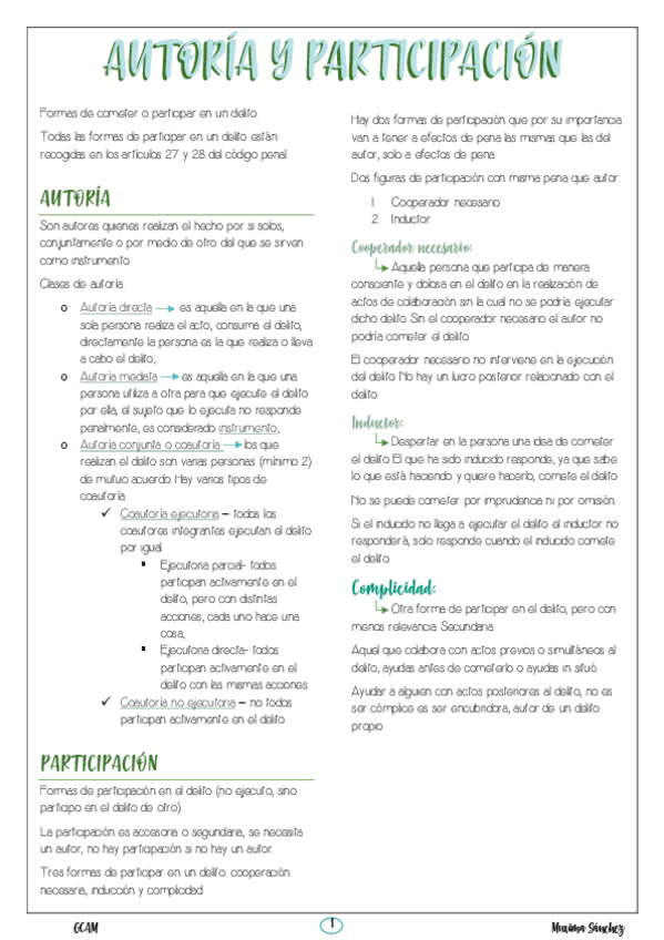 Miniatura del documento Tema-9-Autoria-y-Participacion.pdf