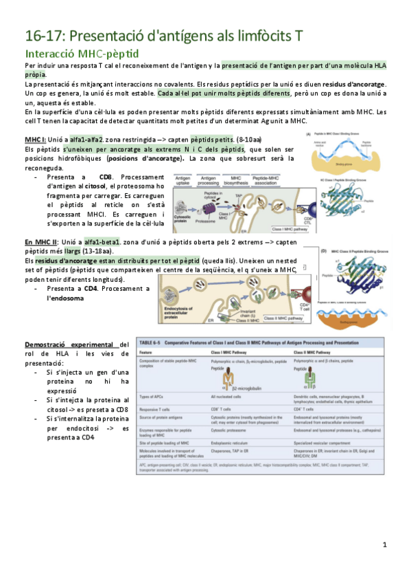 Miniatura del documento Apunts-2n-parcial.pdf