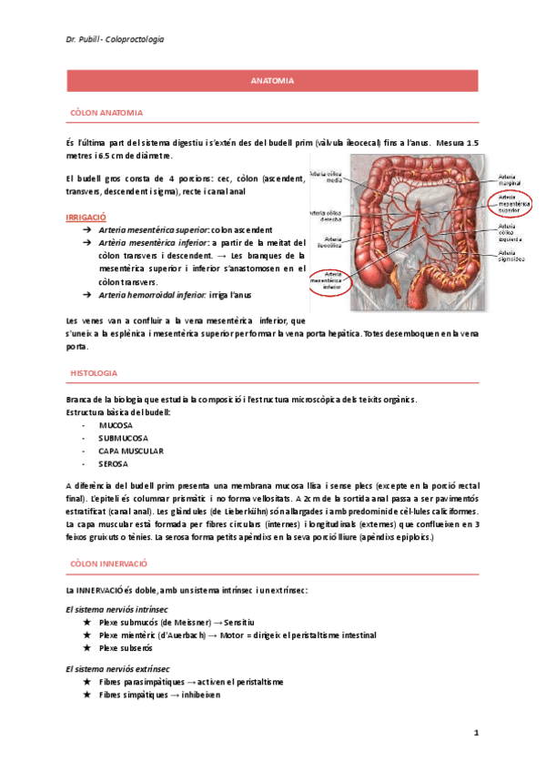 Miniatura del documento Dr.-Pubill-Coloproctologia.pdf