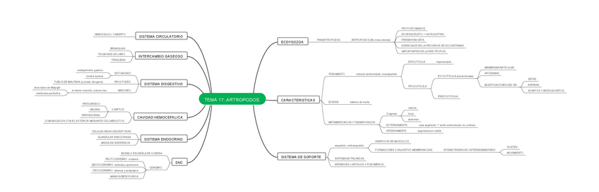 Miniatura del documento MAPA-MENTAL-TEMA-17.pdf