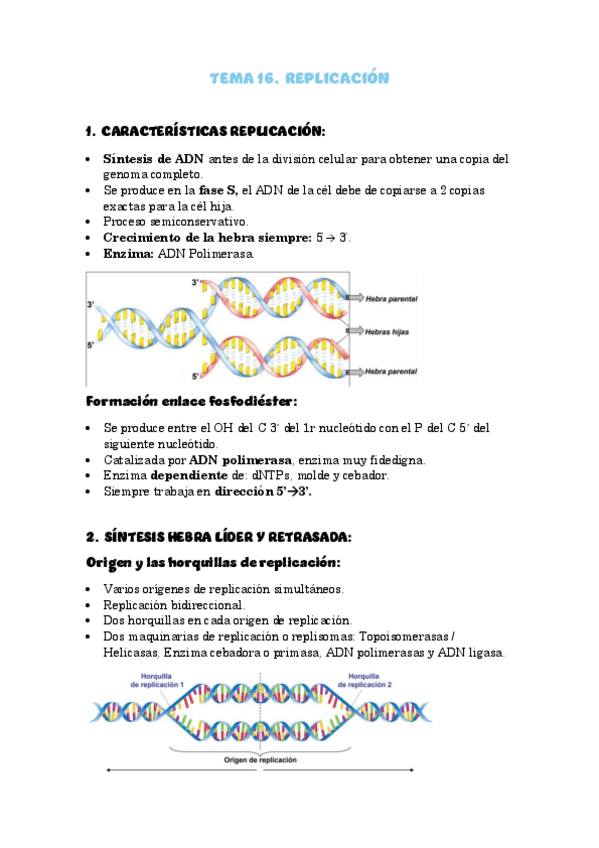 Miniatura del documento Tema-16-Replicacion.pdf