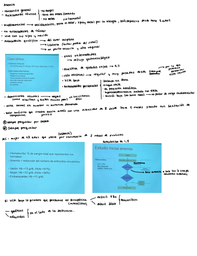 Miniatura del documento Seminario-11-Anemia.pdf
