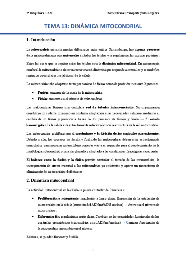Miniatura del documento TEMA-13.-Dinamica-mitocondrial..pdf