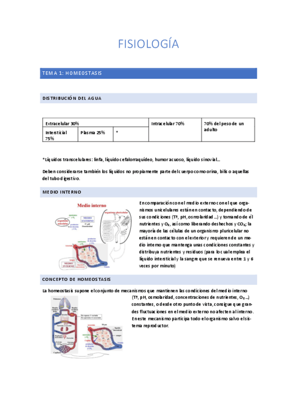 Miniatura del documento FISIOLOGIA-PRIMER-CUATRI.pdf