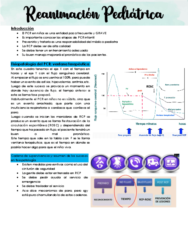 Miniatura del documento 74.-Reanimacion-Pediatrica.pdf